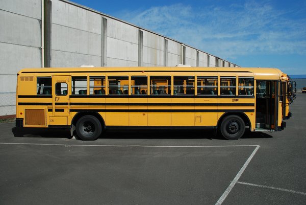 School Bus Traffic