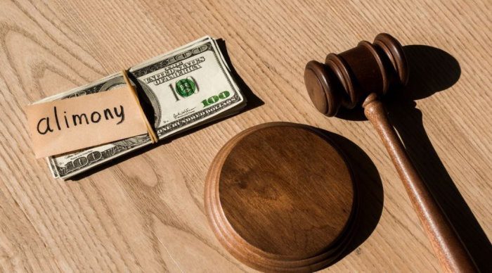 Differences Between Alimony and Spousal Support in NC