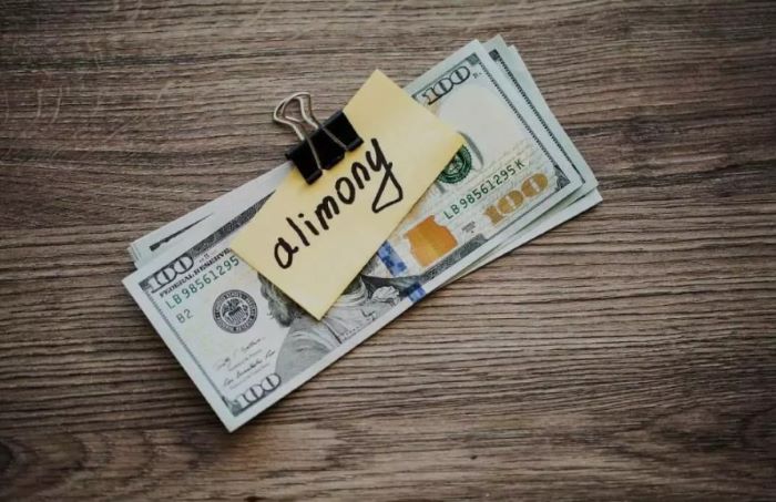 Alimony is a form of spousal support awarded to qualified parties.